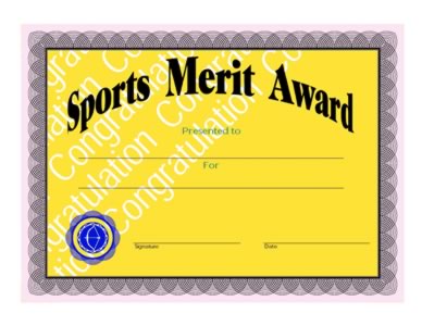 Sports Merit Award Certificate - One